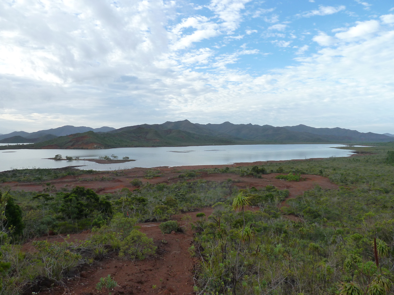 รูปถ่าย นิวแคลิโดเนีย(New Caledonia) อุทยานริเวียร์เบลอ(Parc de la Riviere Bleue) 2010-05 104