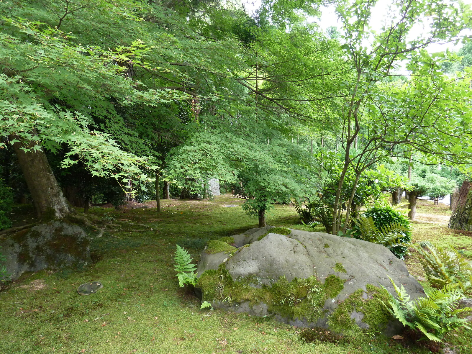 รูปถ่าย ญี่ปุ่น(Japan) เกียวโต(Kyoto) วัดเรียวอันจิ(Ryoanji Temple) 2010-06 28