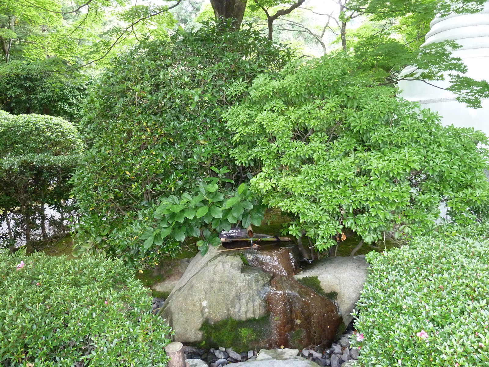 รูปถ่าย ญี่ปุ่น(Japan) เกียวโต(Kyoto) วัดเรียวอันจิ(Ryoanji Temple) 2010-06 44
