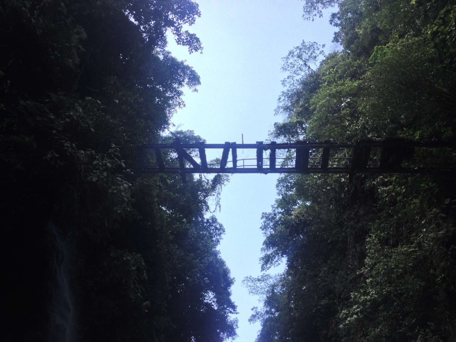 รูปถ่าย คอสตาริกา(Costa Rica) แม่น้ำปากัวเร(Pacuare River) 2015-03 169