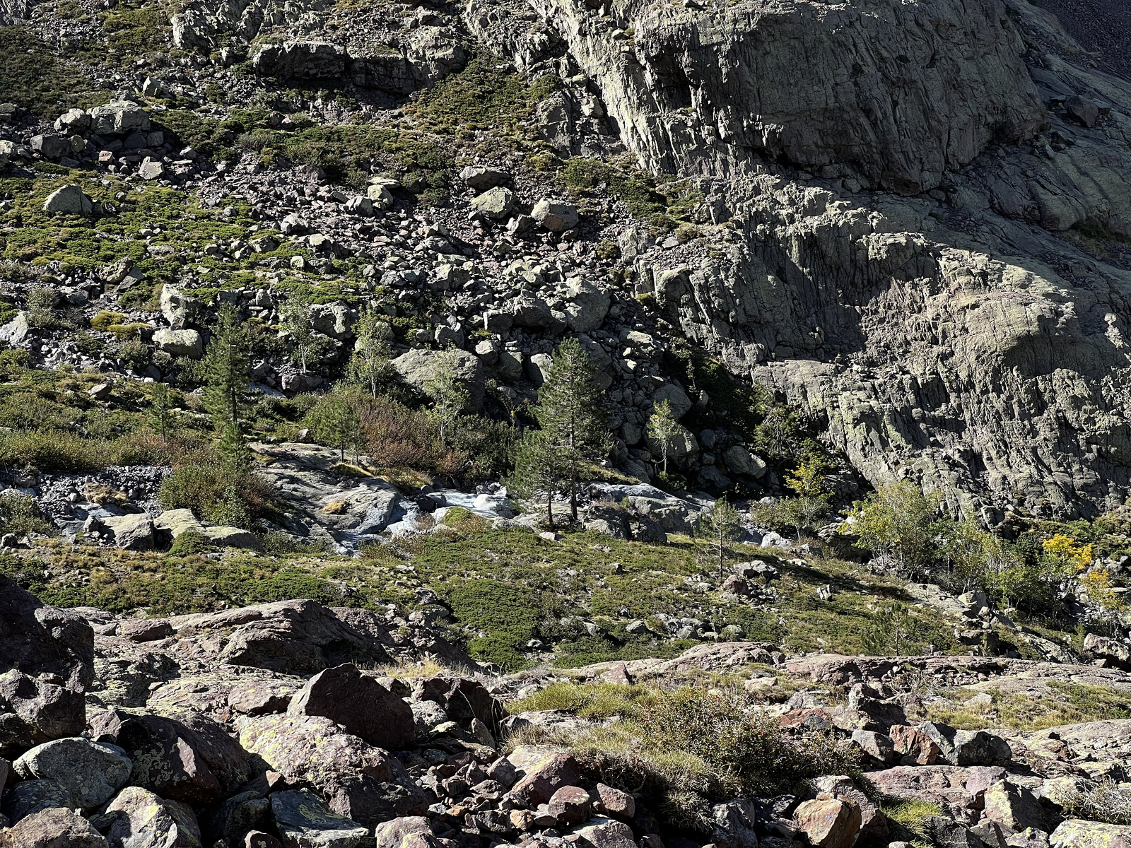 รูปถ่าย ฝรั่งเศส(France) คอร์สิคา(Corsica) ภูเขามอนเตชินโต(Monte Cinto) 2023-10 146