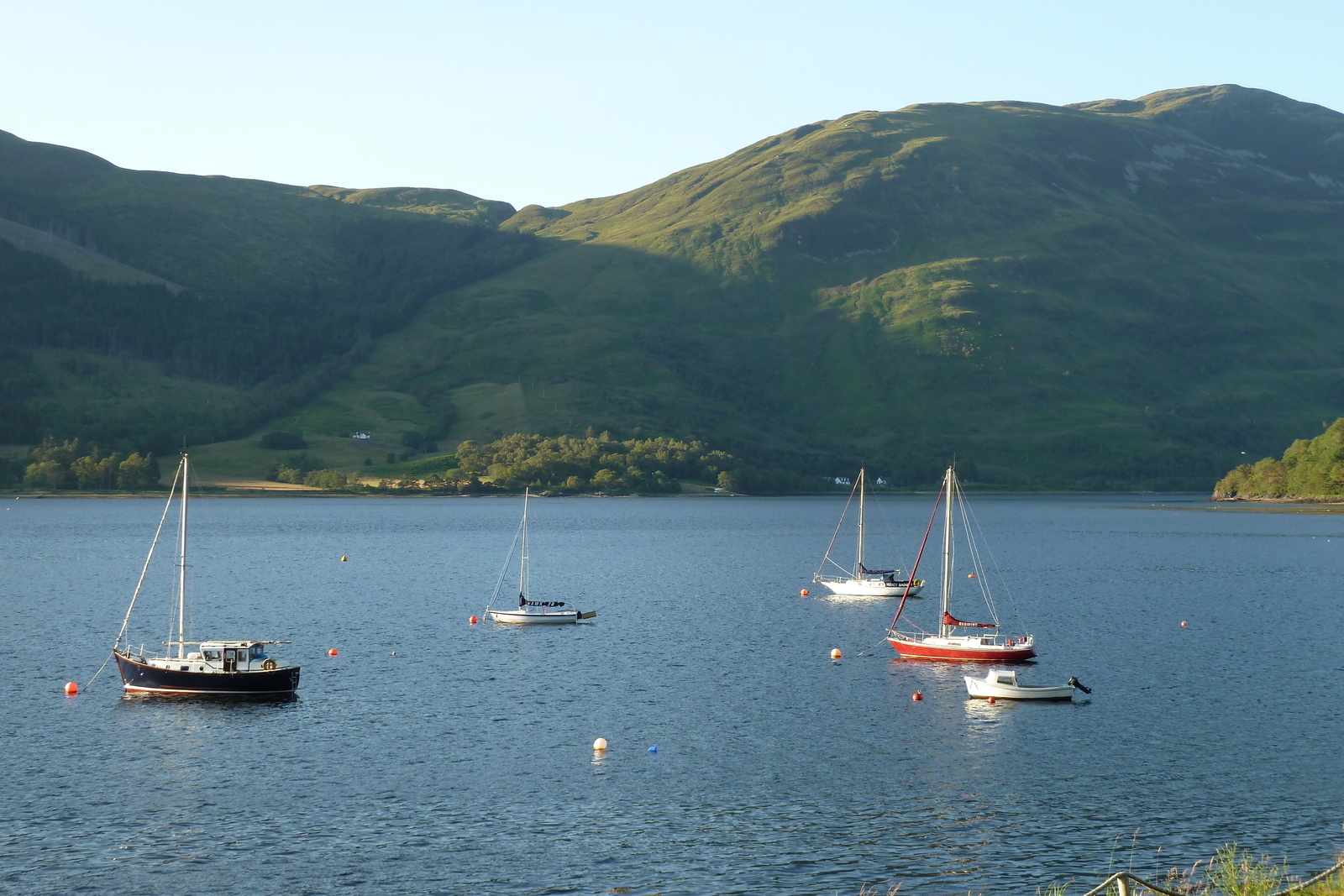 รูปถ่าย อังกฤษ(United Kingdom) สกอตแลนด์(Scotland) 2011-07 137