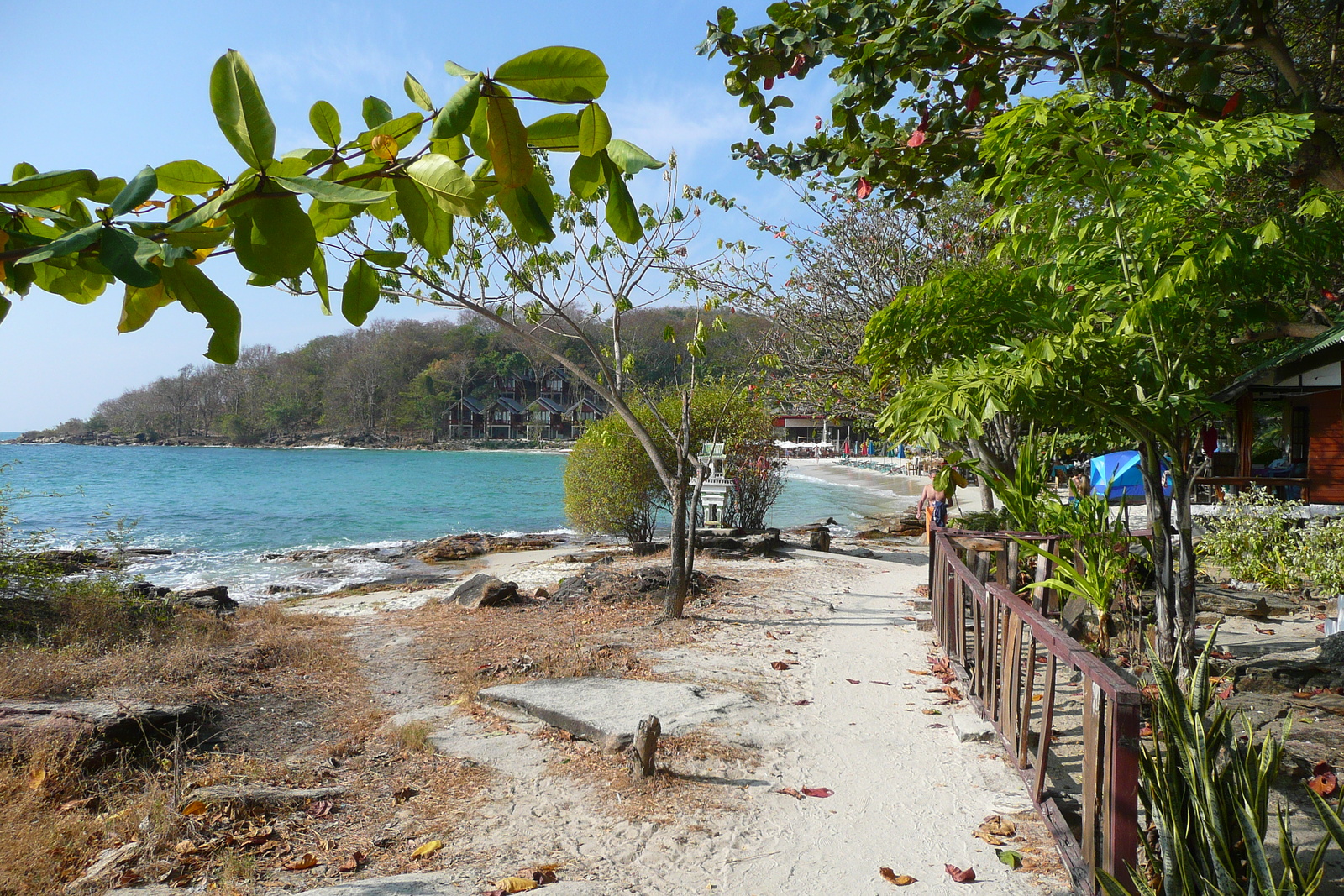 รูปถ่าย ไทย(Thailand) เกาะเสม็ด(Ko Samet) 2009-01 32