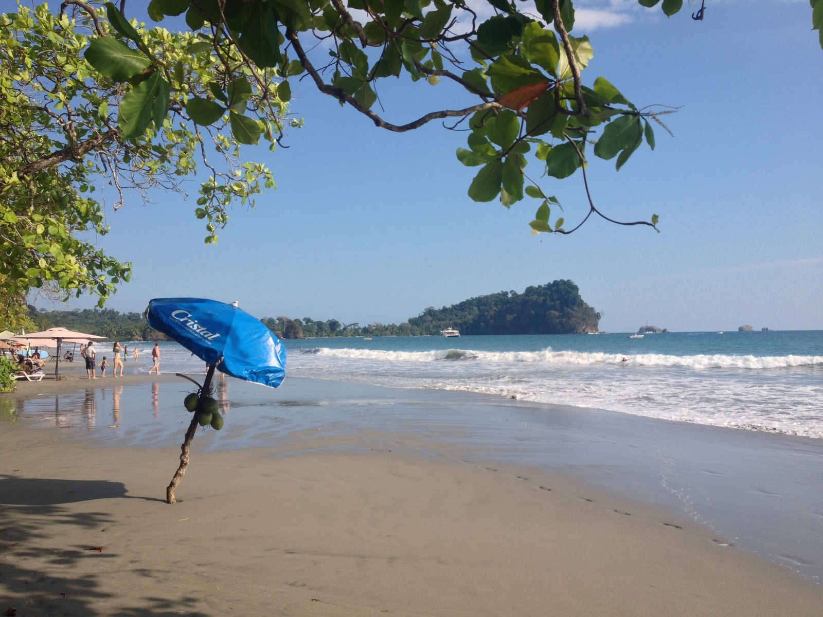 รูปถ่าย คอสตาริกา(Costa Rica) มานวยล์อันโตนีโอ(Manuel Antonio) 2015-03 508