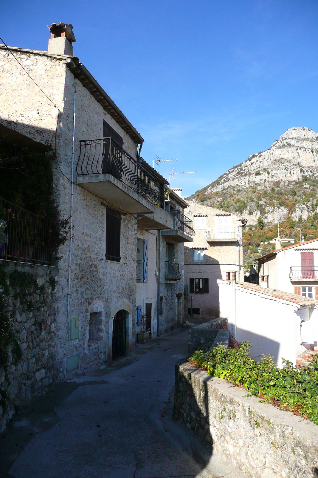 รูปถ่าย ฝรั่งเศส(France) แซ็ง-ฌาเน(Saint Jeannet) 2007-11 94