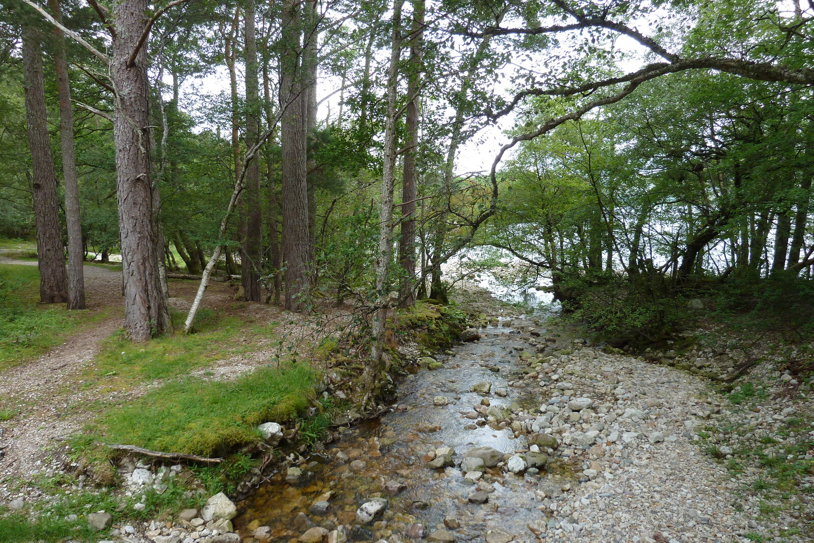 รูปถ่าย อังกฤษ(United Kingdom) สกอตแลนด์(Scotland) ทะเลสาบลอคมารี(Loch Maree) 2011-07 29