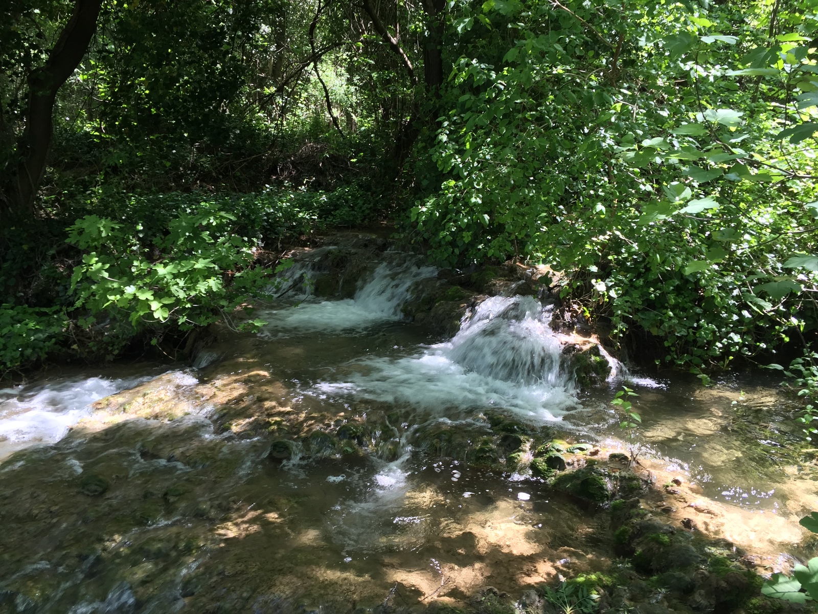 รูปถ่าย โครเอเชีย(Croatia) อุทยานแห่งชาติเคอร์คา(Krka National Park) 2016-04 105