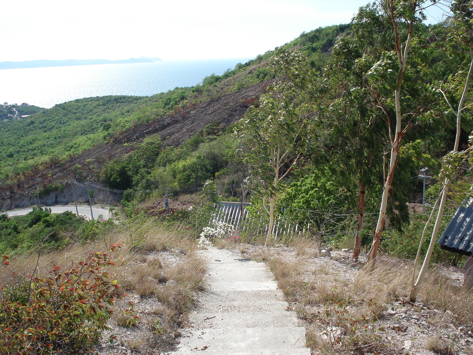 รูปถ่าย ไทย(Thailand) พัทยา(Pattaya) เกาะล้าน(Ko Larn) 2006-04 128