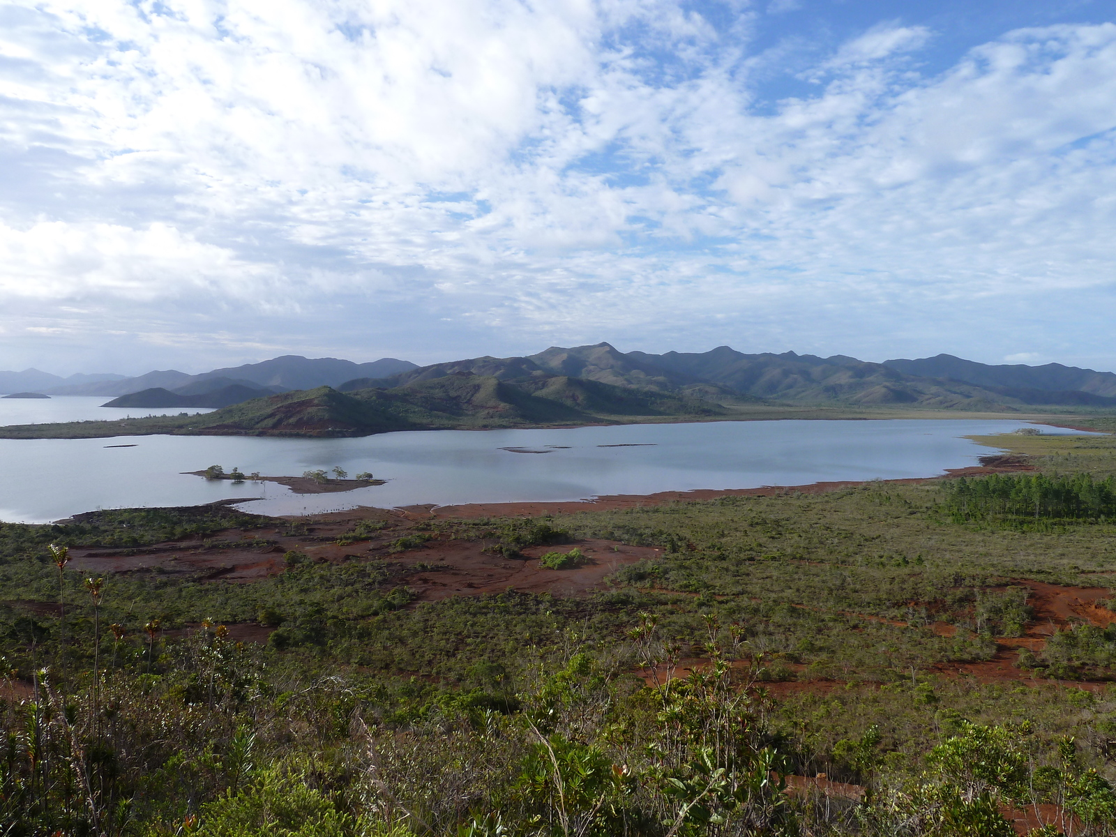รูปถ่าย นิวแคลิโดเนีย(New Caledonia) อุทยานริเวียร์เบลอ(Parc de la Riviere Bleue) 2010-05 137