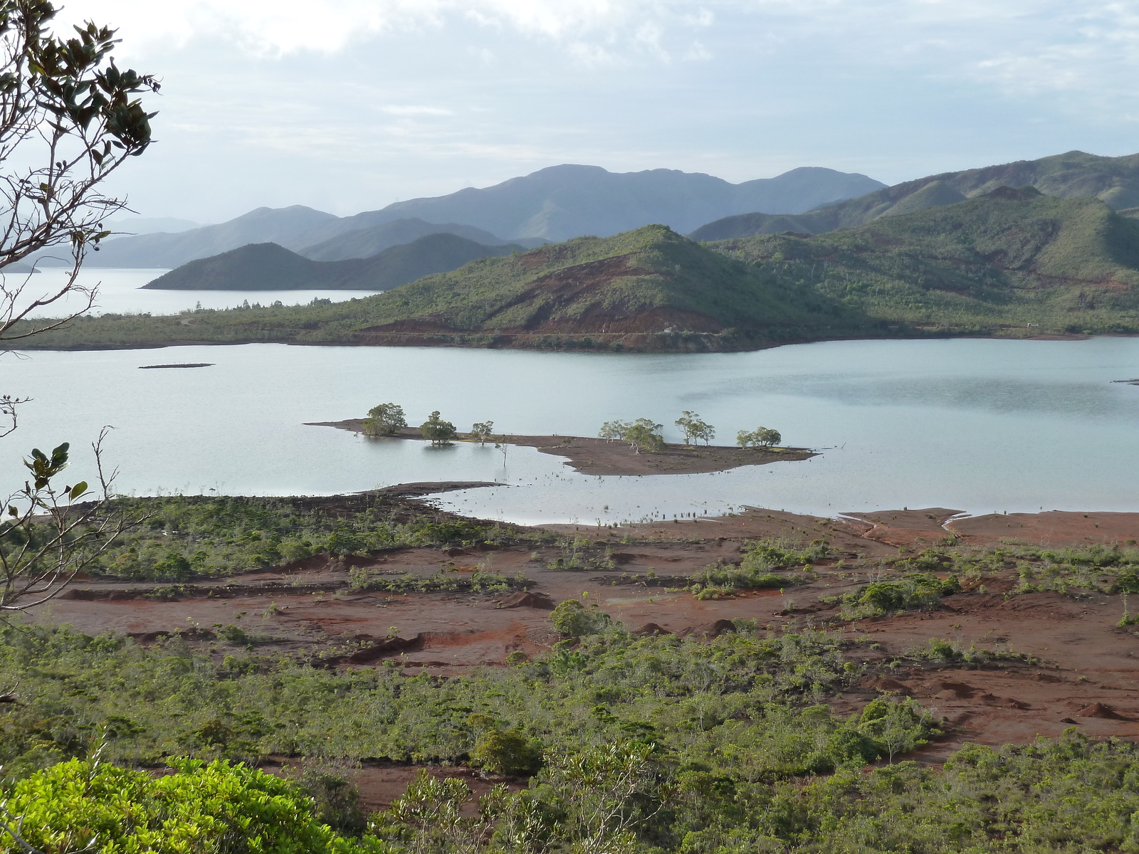 รูปถ่าย นิวแคลิโดเนีย(New Caledonia) อุทยานริเวียร์เบลอ(Parc de la Riviere Bleue) 2010-05 134