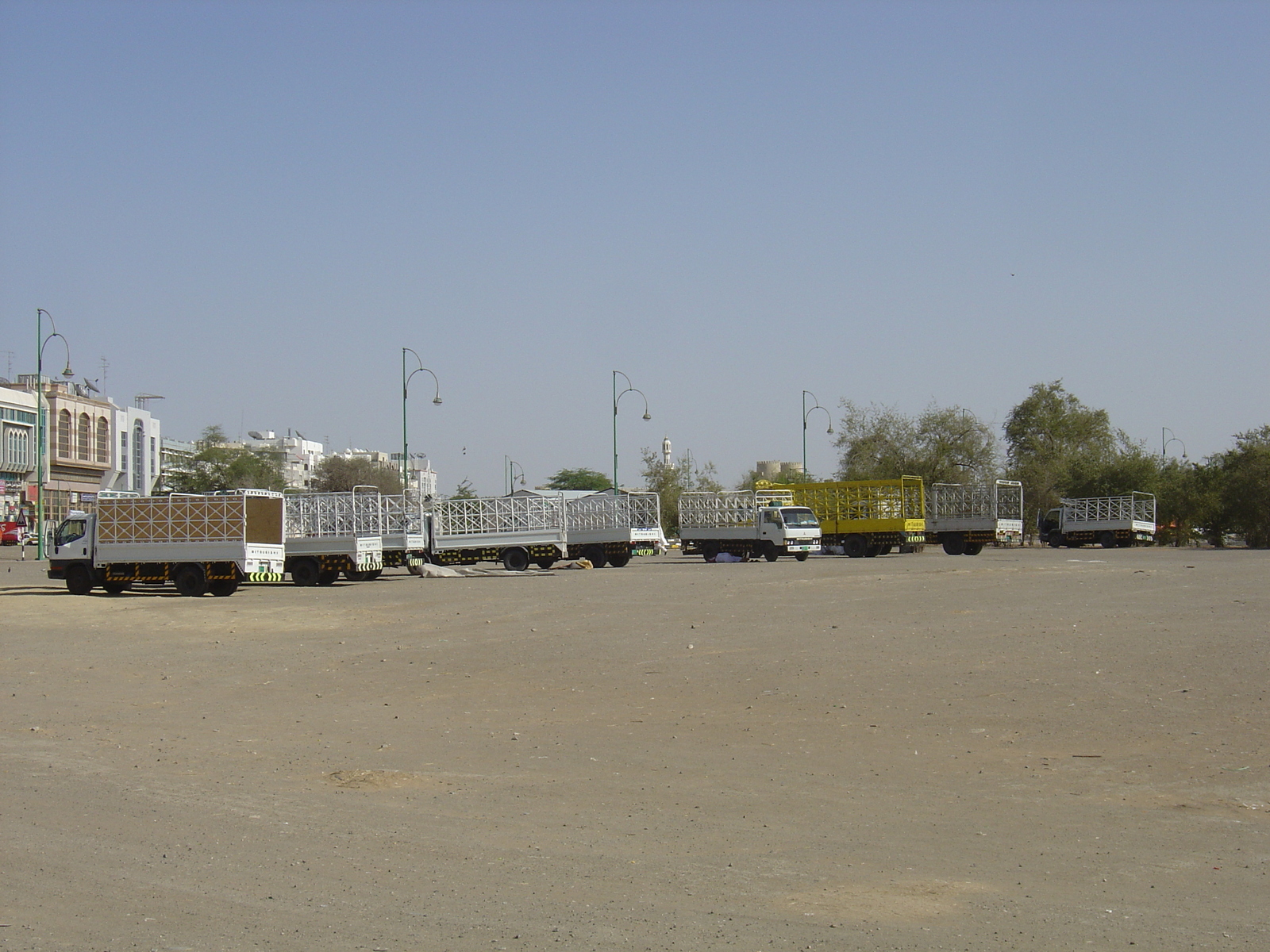 รูปถ่าย สหรัฐอาหรับเอมิเรตส์(United Arab Emirates) อาเลอิน(Al Ain) 2005-03 33