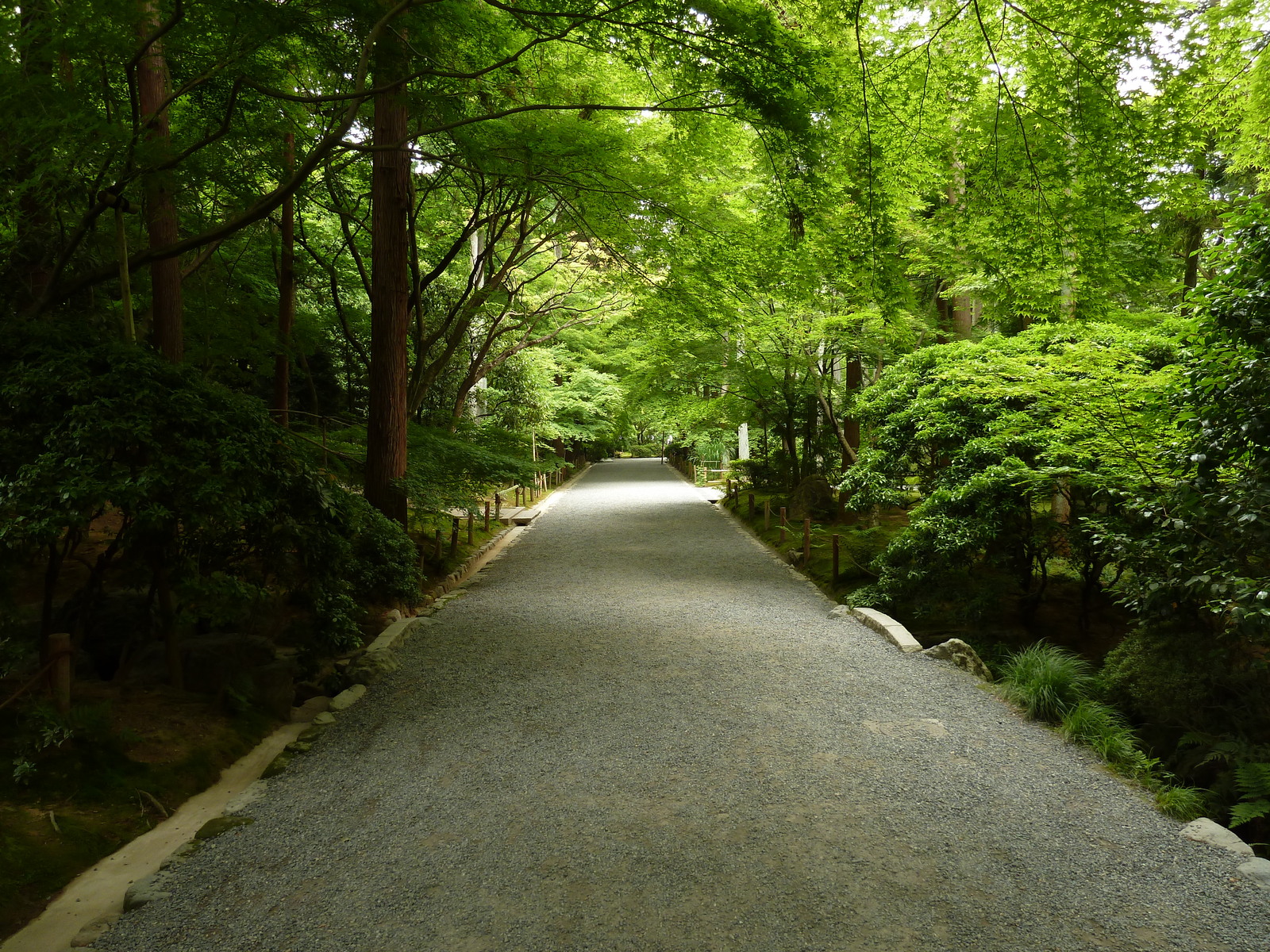 รูปถ่าย ญี่ปุ่น(Japan) เกียวโต(Kyoto) วัดเรียวอันจิ(Ryoanji Temple) 2010-06 79
