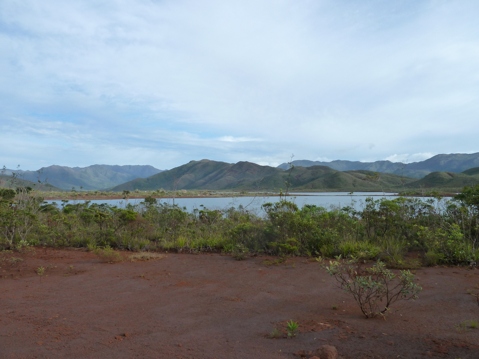 รูปถ่าย นิวแคลิโดเนีย(New Caledonia) อุทยานริเวียร์เบลอ(Parc de la Riviere Bleue) 2010-05 106