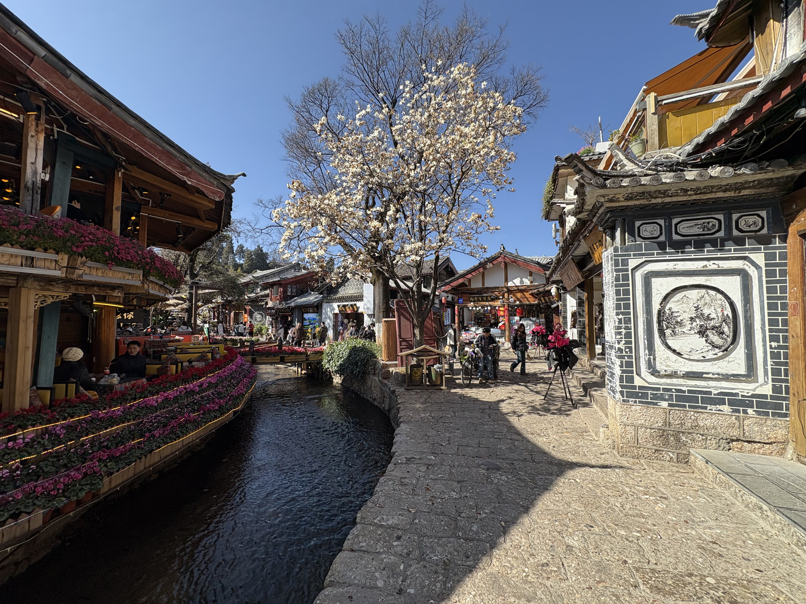 รูปถ่าย จีน(China) ลี่เจียง(Lijiang) 2026-01 358