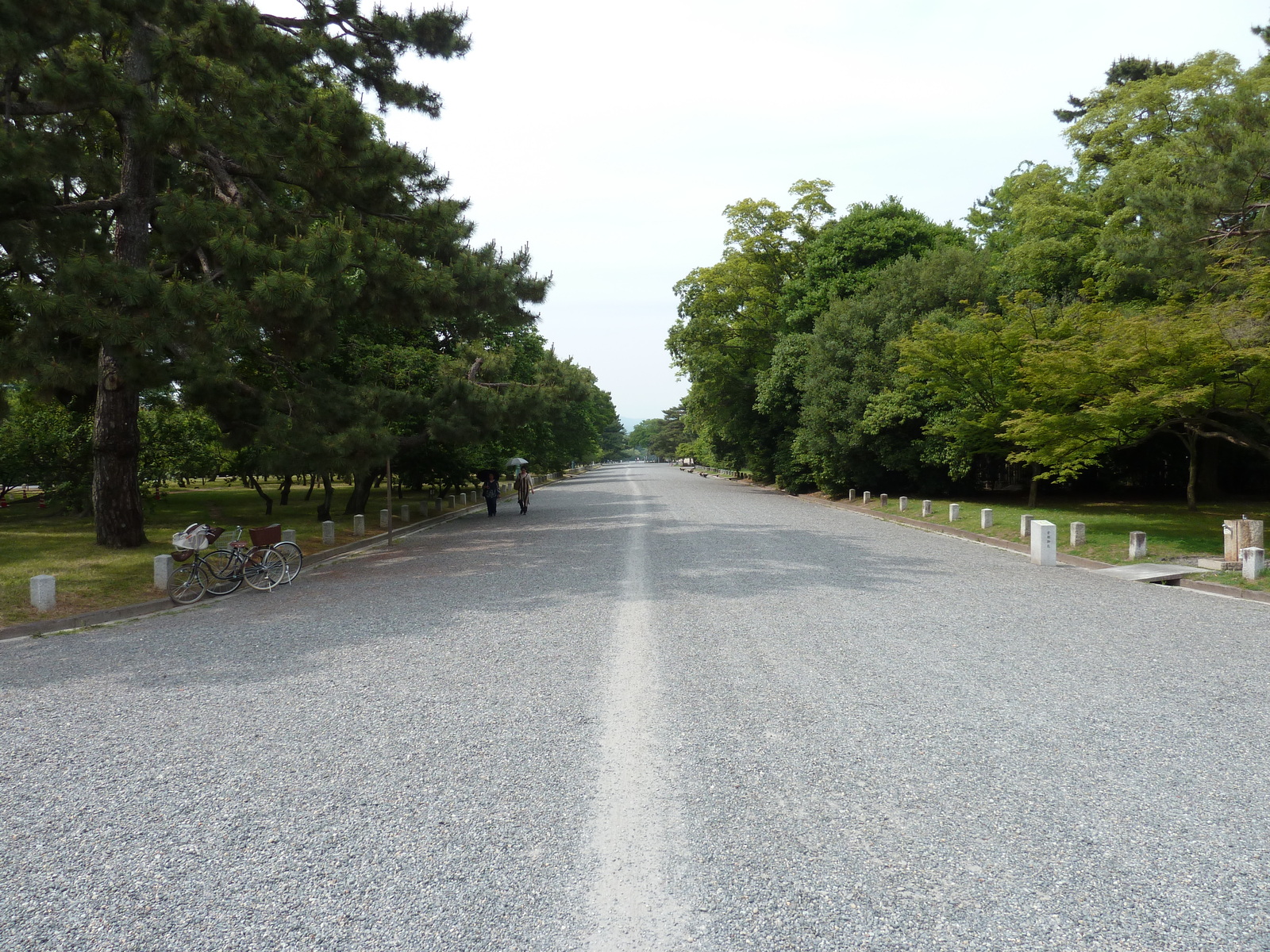 รูปถ่าย ญี่ปุ่น(Japan) เกียวโต(Kyoto) สวนเกียวโตเกียวเอ็ง(Kyoto Gyoen Garden) 2010-06 38