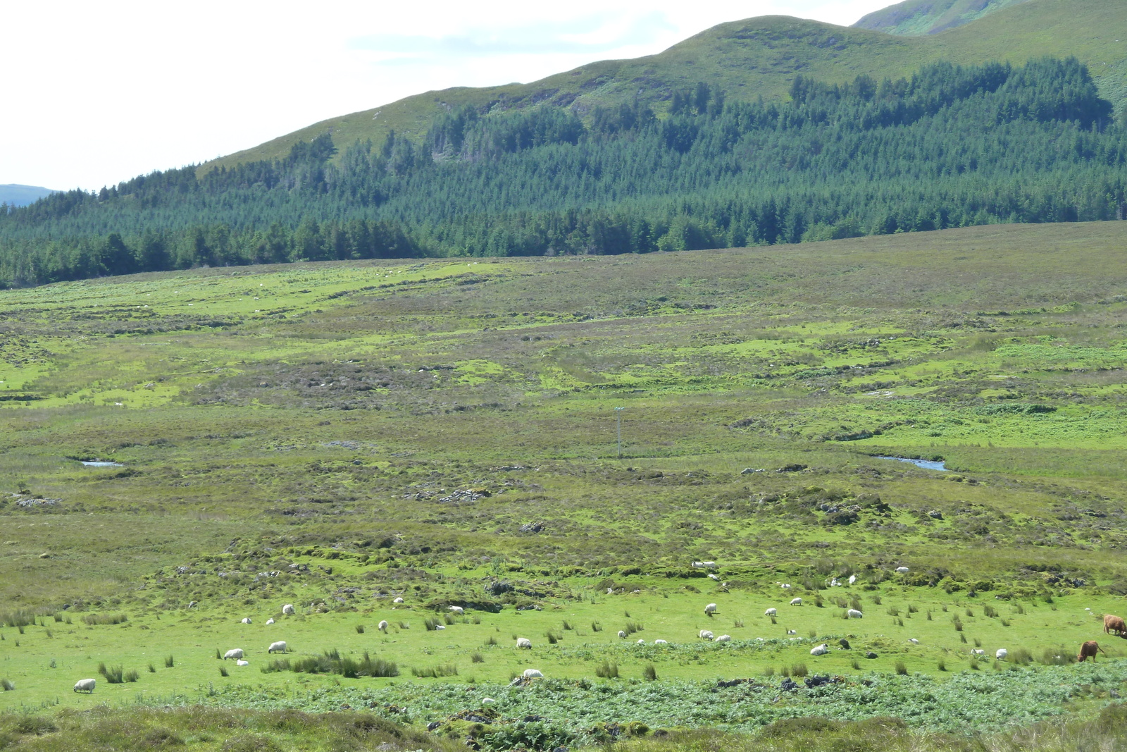 รูปถ่าย อังกฤษ(United Kingdom) เกาะสกาย(Skye) เทือกเขาคูลิน(The Cuillin) 2011-07 34