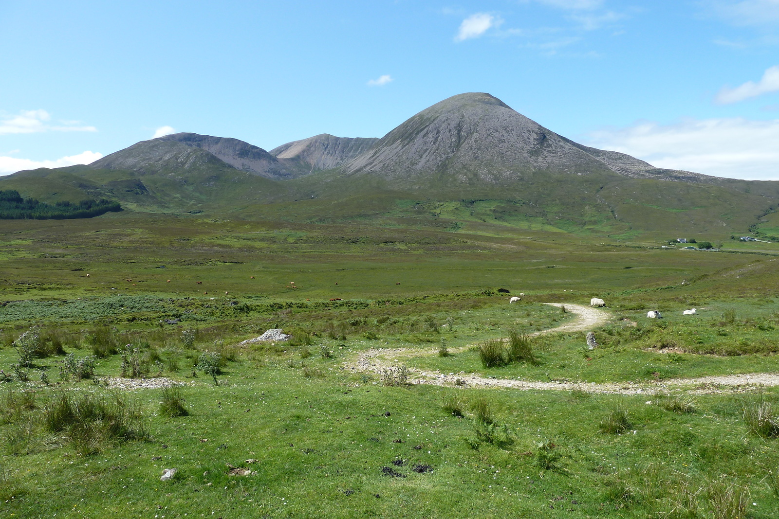 รูปถ่าย อังกฤษ(United Kingdom) เกาะสกาย(Skye) เทือกเขาคูลิน(The Cuillin) 2011-07 33