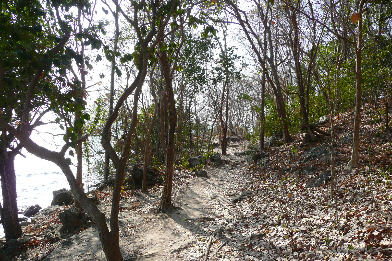 รูปถ่าย ไทย(Thailand) เกาะเสม็ด(Ko Samet) 2009-01 64