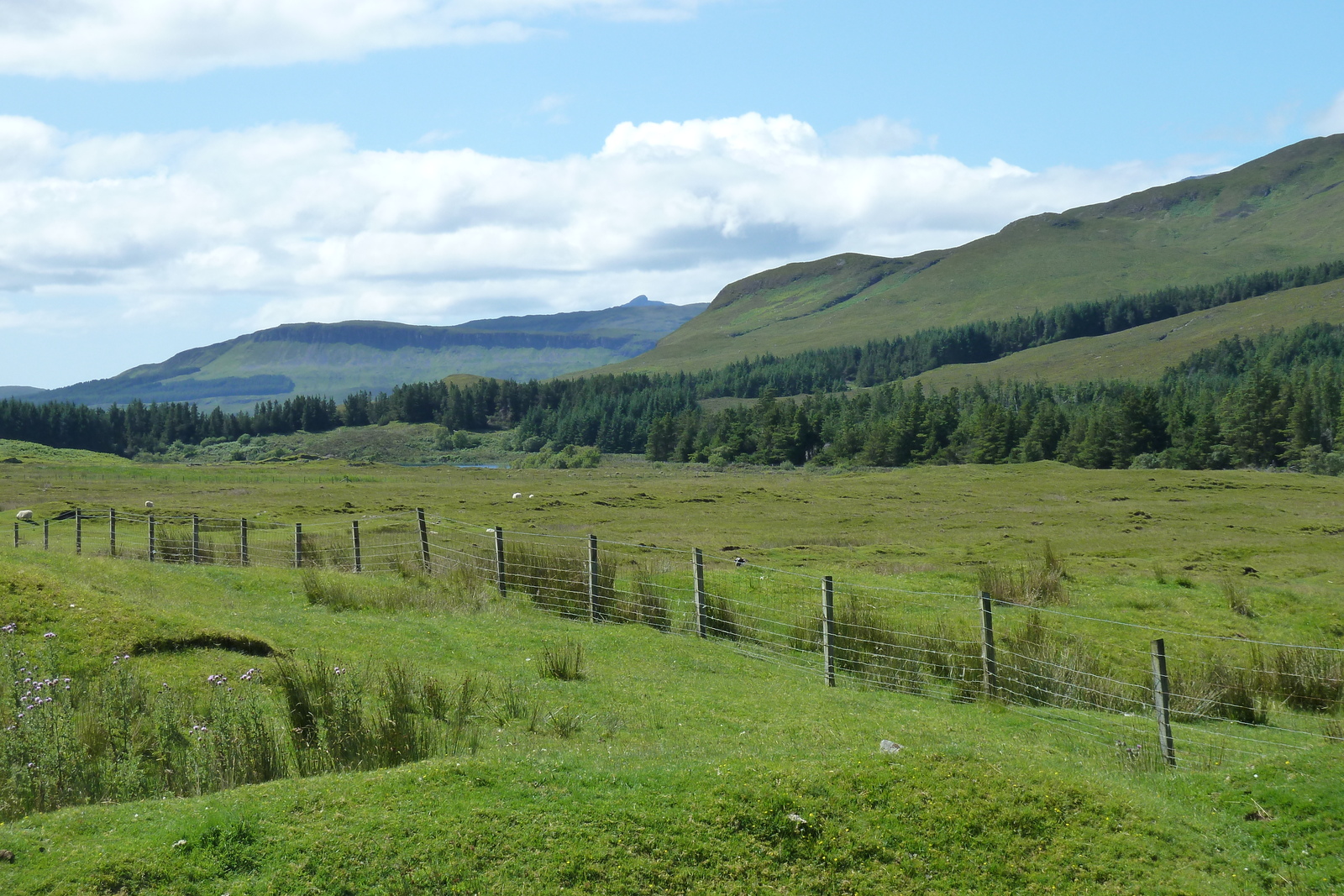 รูปถ่าย อังกฤษ(United Kingdom) เกาะสกาย(Skye) เทือกเขาคูลิน(The Cuillin) 2011-07 21