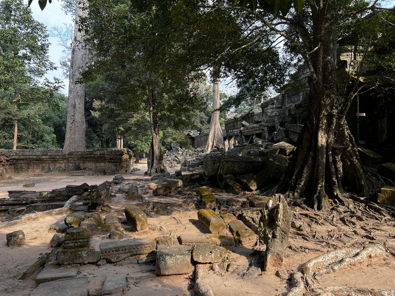 รูปถ่าย กัมพูชา(Cambodia) เสียมราฐ(Siem Reap) ปราสาทตาพรหม(Ta Prohm) 2023-01 122