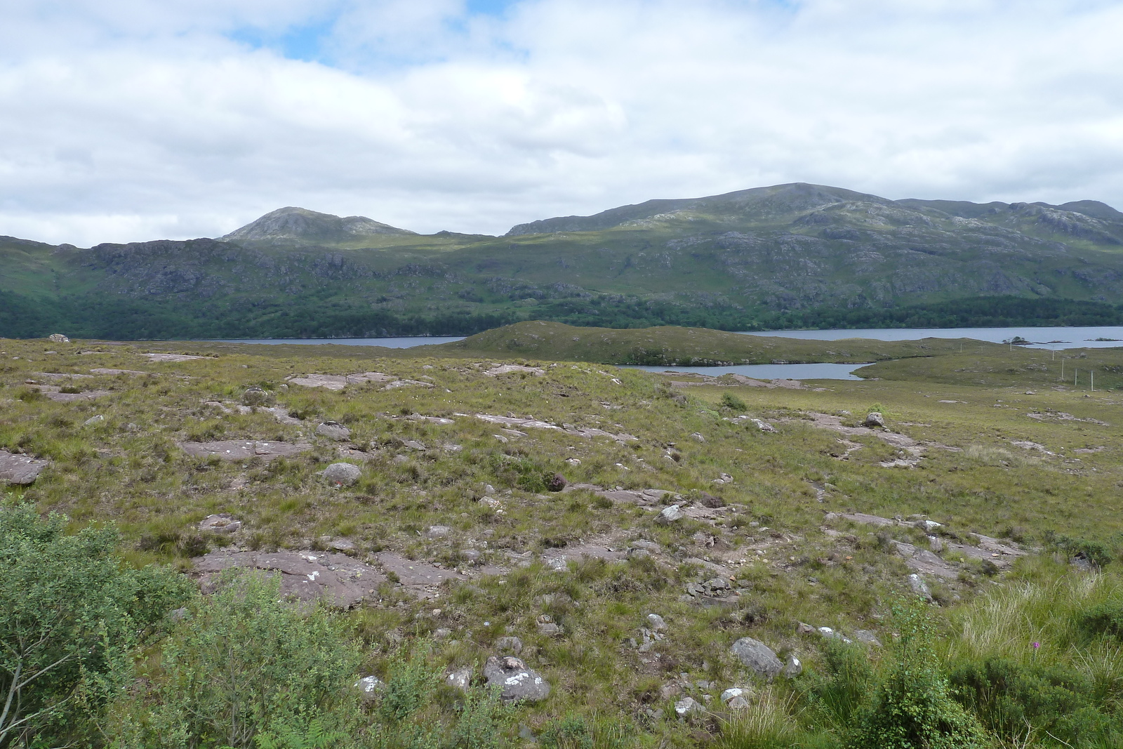 รูปถ่าย อังกฤษ(United Kingdom) สกอตแลนด์(Scotland) ทะเลสาบลอคมารี(Loch Maree) 2011-07 33