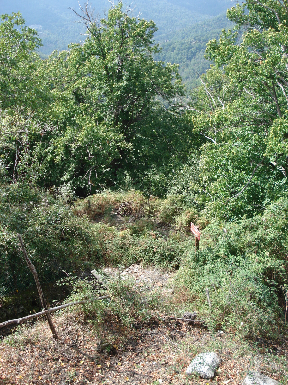 รูปถ่าย ฝรั่งเศส(France) คอร์สิคา(Corsica) วัลเล-ดาเลซานี(Valle d'alesani) 2006-09 42