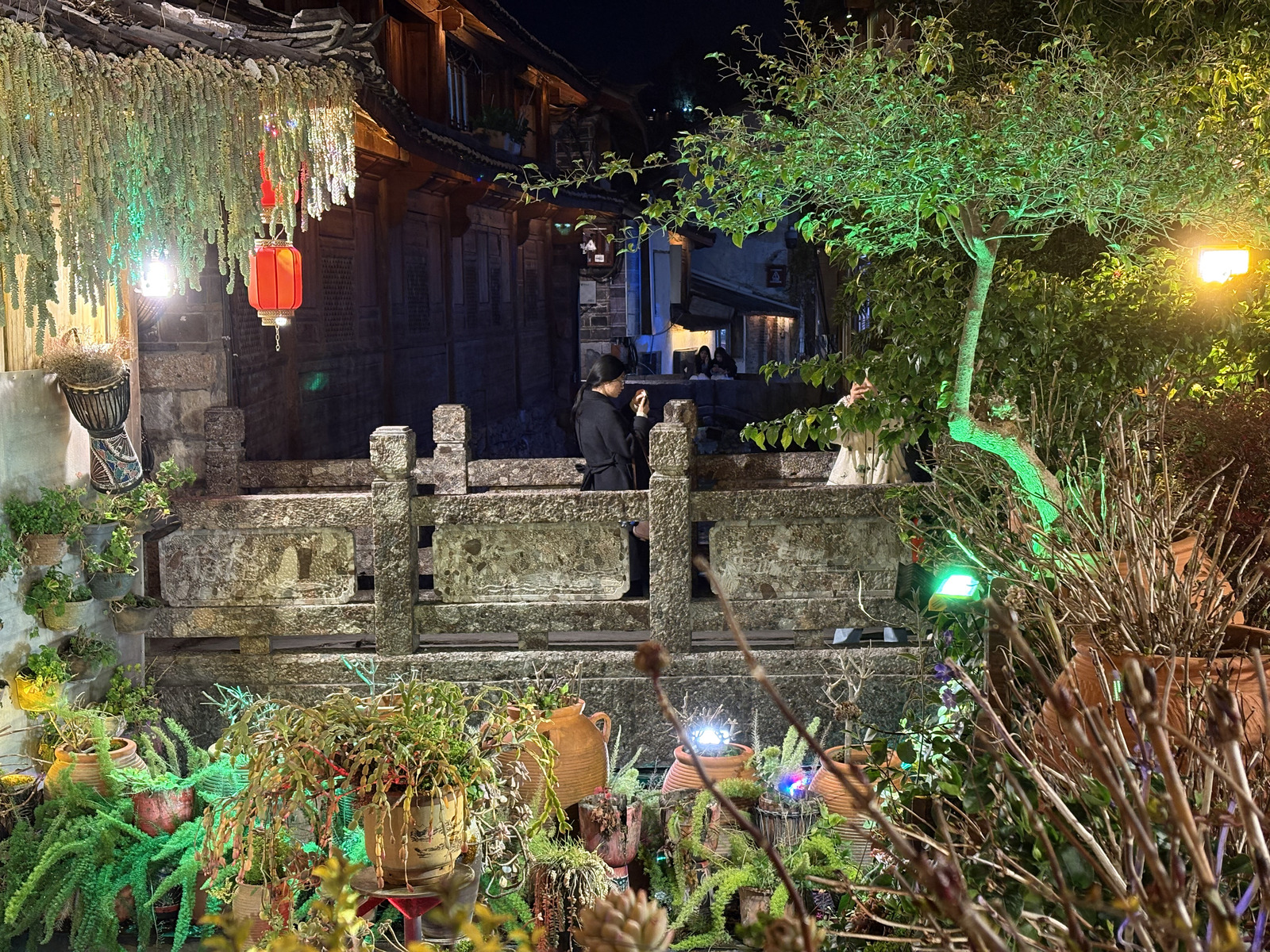 รูปถ่าย จีน(China) ลี่เจียง(Lijiang) 2026-01 695