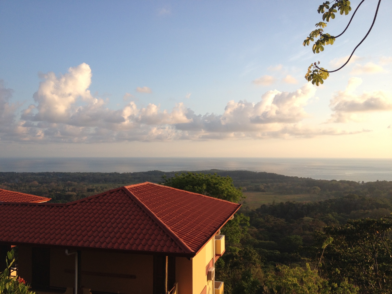 รูปถ่าย คอสตาริกา(Costa Rica) อูบีตา(Uvita) 2015-03 21