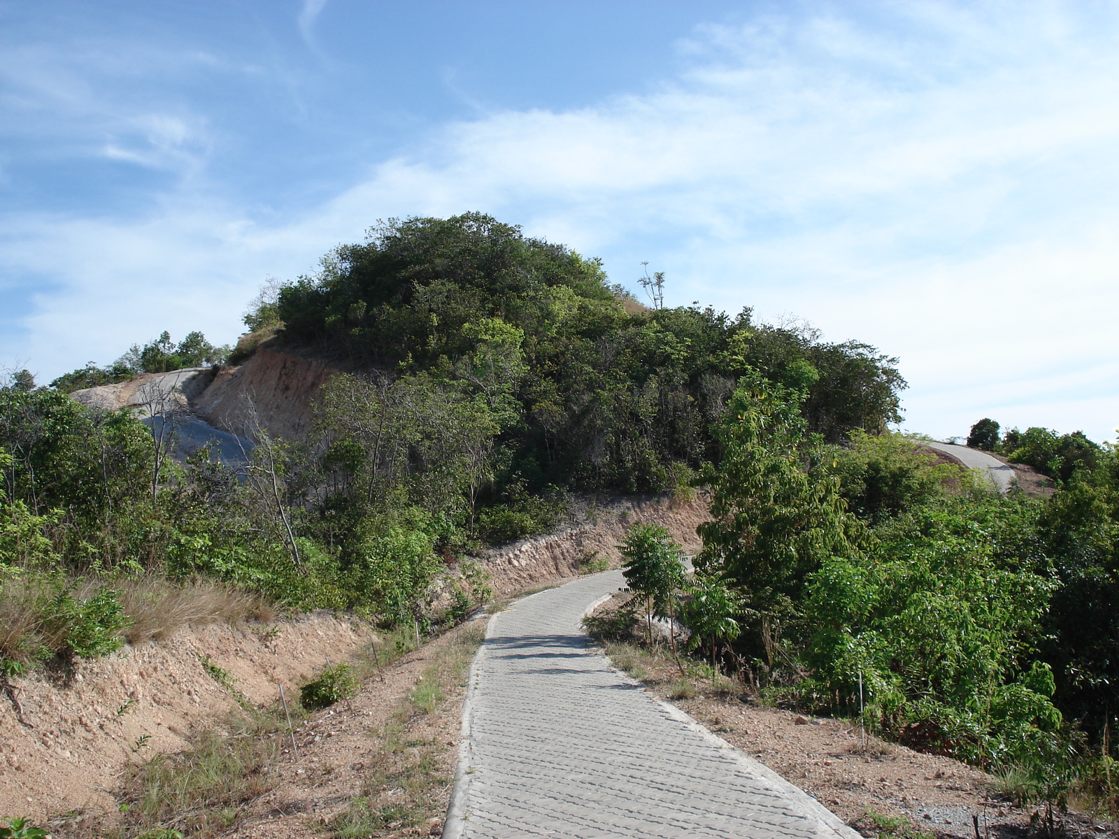 รูปถ่าย ไทย(Thailand) พัทยา(Pattaya) เกาะล้าน(Ko Larn) 2006-04 57