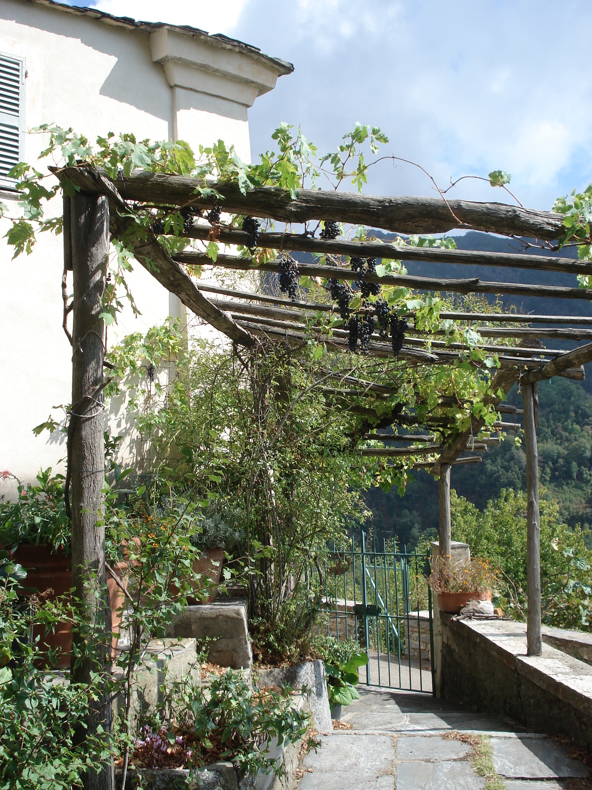 รูปถ่าย ฝรั่งเศส(France) คอร์สิคา(Corsica) วัลเล-ดาเลซานี(Valle d'alesani) 2006-09 7