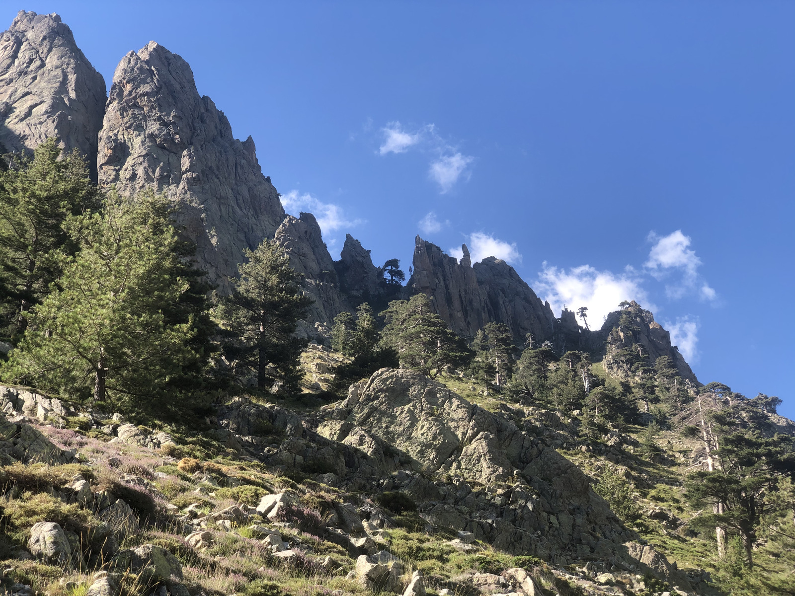 รูปถ่าย ฝรั่งเศส(France) คอร์สิคา(Corsica) หุบเขาลาเรสโตนีกา(La Restonica) 2020-07 40