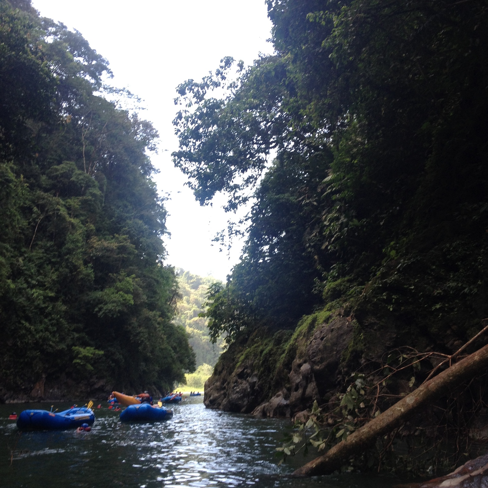 รูปถ่าย คอสตาริกา(Costa Rica) แม่น้ำปากัวเร(Pacuare River) 2015-03 205