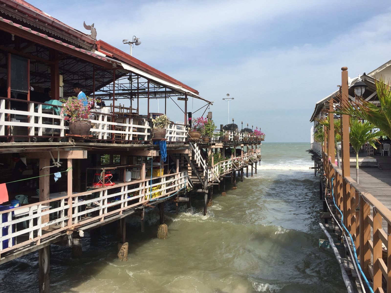 รูปถ่าย ไทย(Thailand) หัวหิน(Hua hin) 2016-01 26