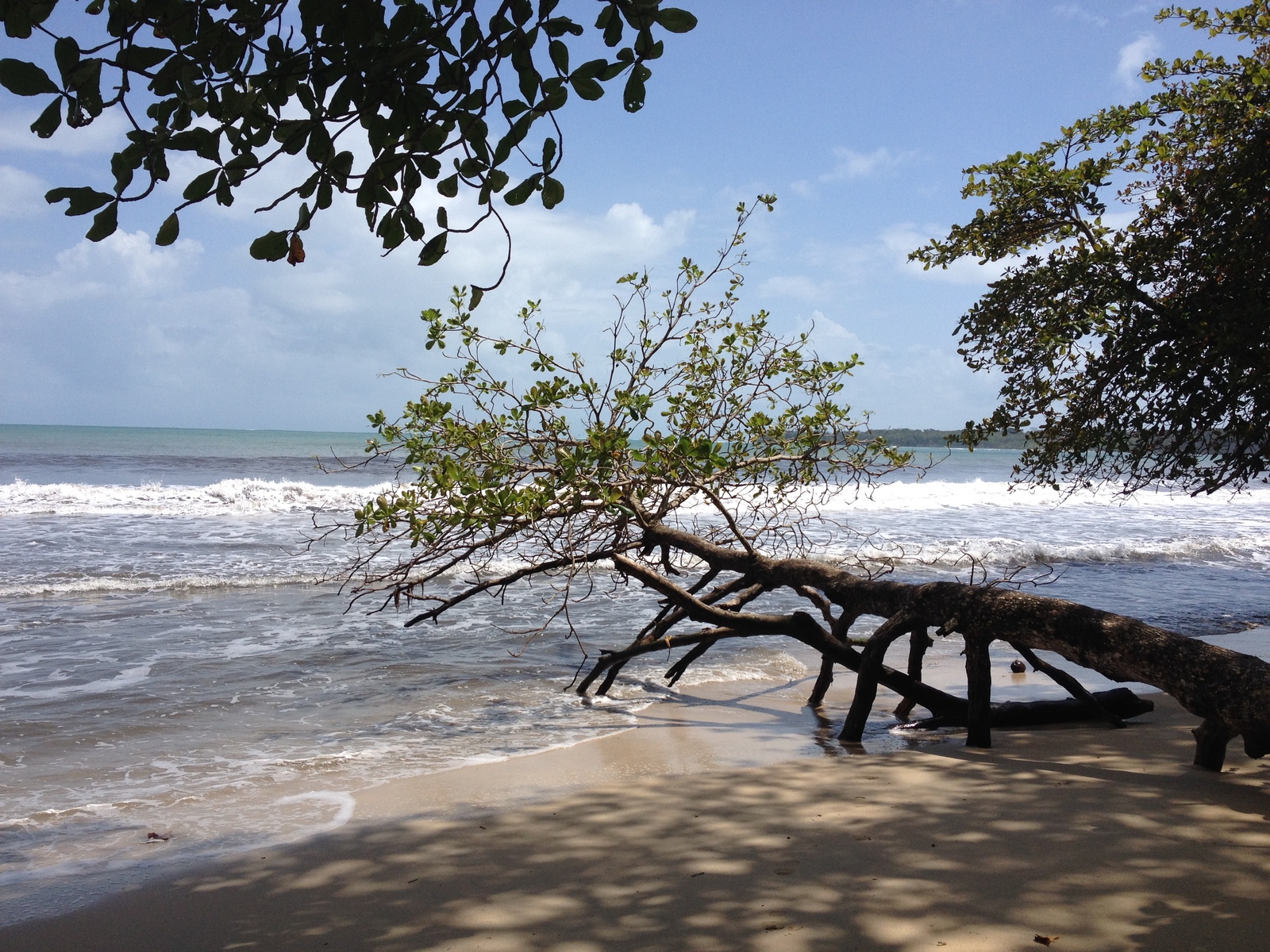 รูปถ่าย คอสตาริกา(Costa Rica) 2015-03 40