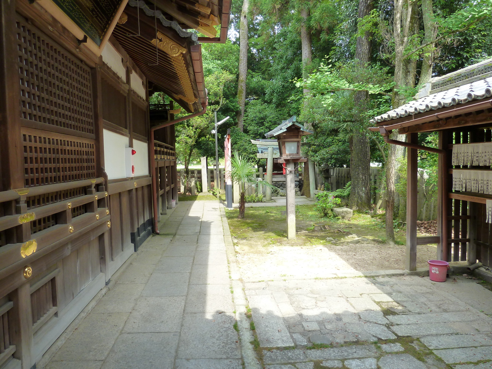 รูปถ่าย ญี่ปุ่น(Japan) เกียวโต(Kyoto) สวนเกียวโตเกียวเอ็ง(Kyoto Gyoen Garden) 2010-06 11