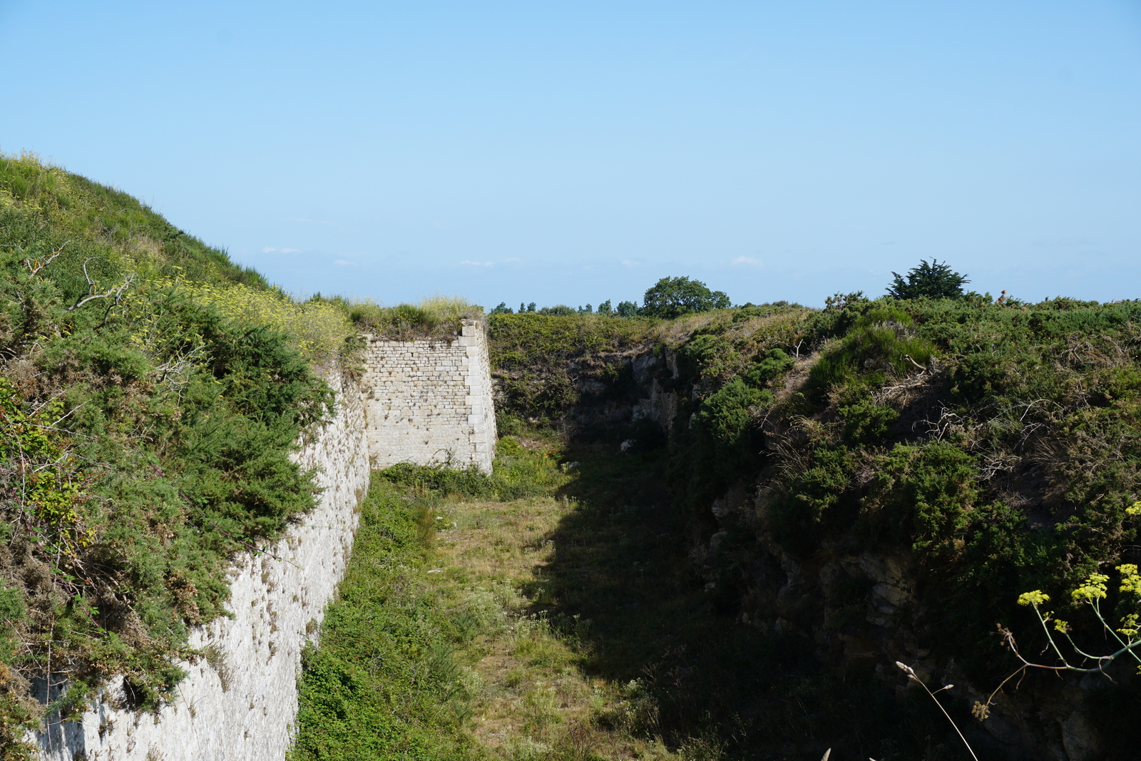 รูปถ่าย ฝรั่งเศส(France) เกาะเอดิก(Hoedic) 2016-08 89