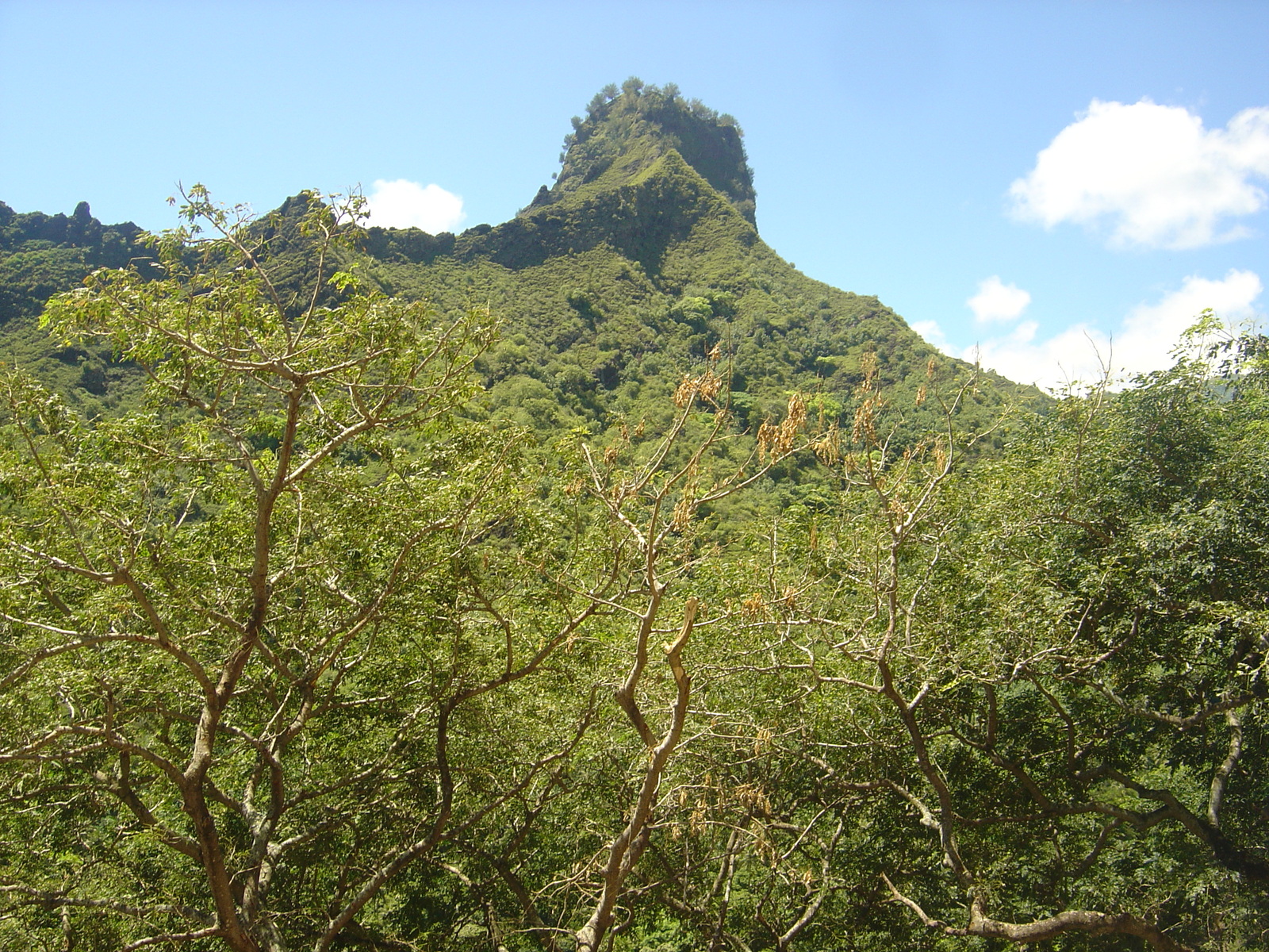 รูปถ่าย เฟรนช์โพลี่นีเซีย(Polynesia) หมู่เกาะมาร์เคซัส(Marquises) 2006-04 166