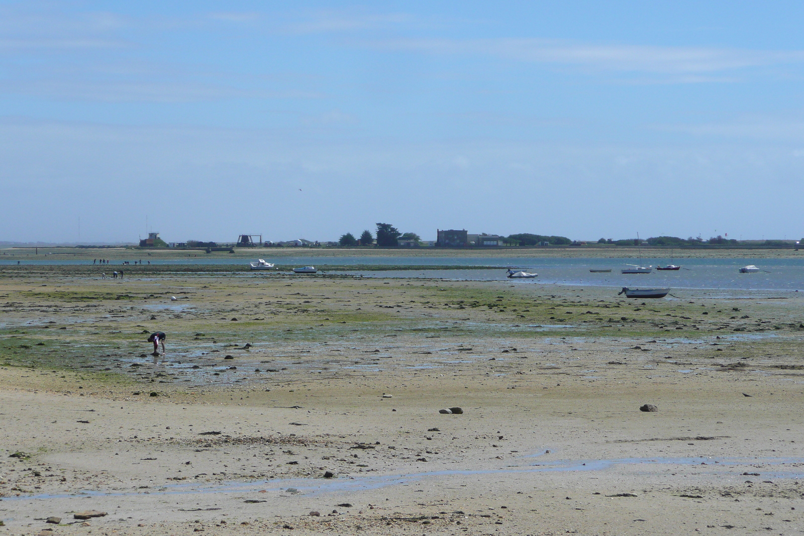 รูปถ่าย ฝรั่งเศส(France) คาบสมุทรกาฟร์(Gavres peninsula) 2008-07 7