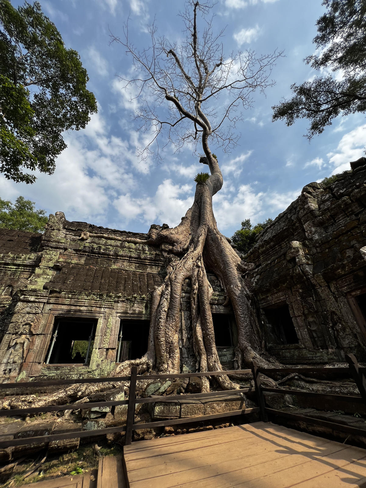 รูปถ่าย กัมพูชา(Cambodia) เสียมราฐ(Siem Reap) ปราสาทตาพรหม(Ta Prohm) 2023-01 47