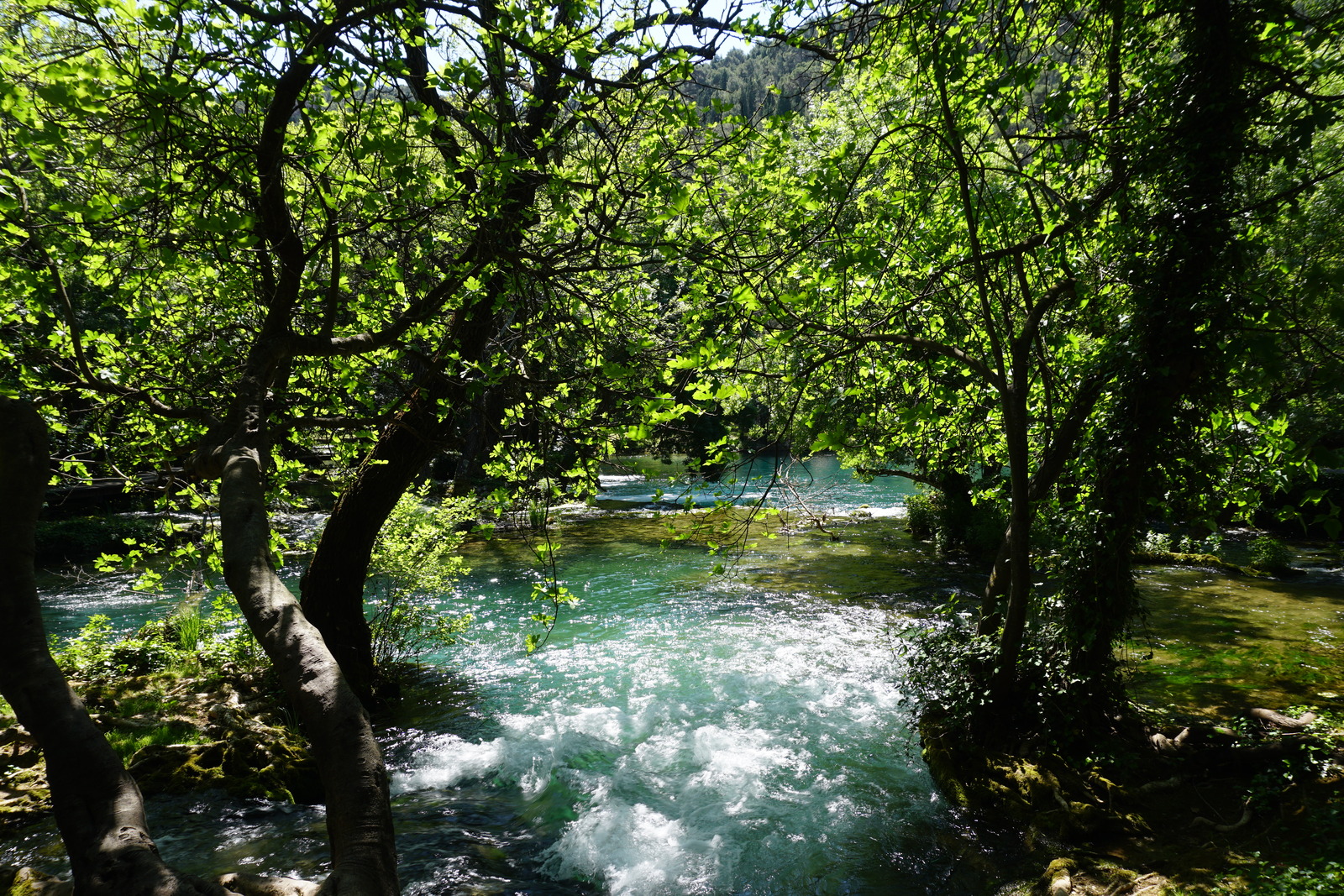 รูปถ่าย โครเอเชีย(Croatia) อุทยานแห่งชาติเคอร์คา(Krka National Park) 2016-04 15