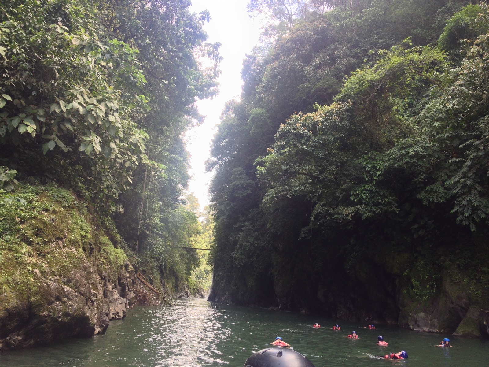 รูปถ่าย คอสตาริกา(Costa Rica) แม่น้ำปากัวเร(Pacuare River) 2015-03 208