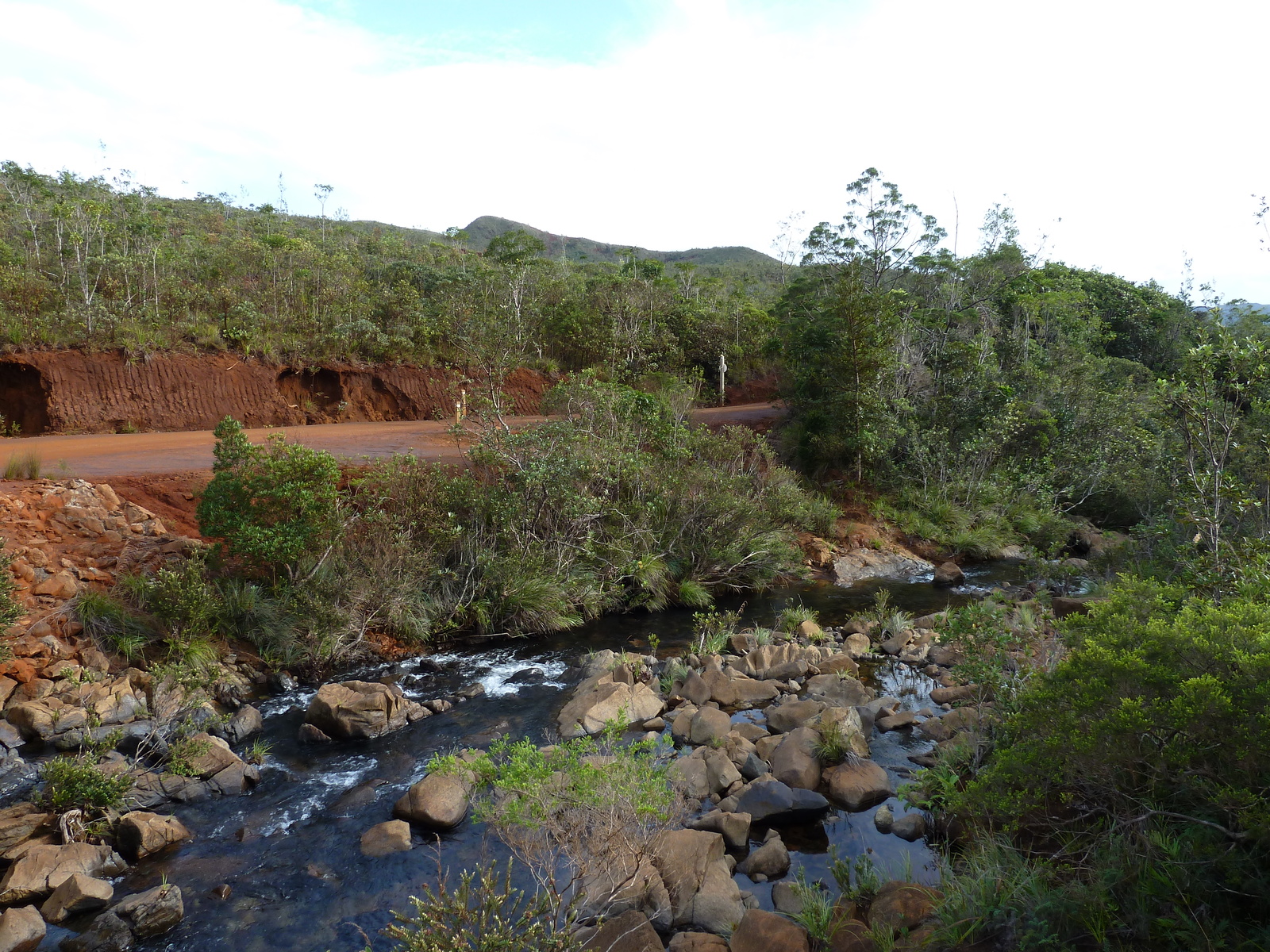 รูปถ่าย นิวแคลิโดเนีย(New Caledonia) อุทยานริเวียร์เบลอ(Parc de la Riviere Bleue) 2010-05 57
