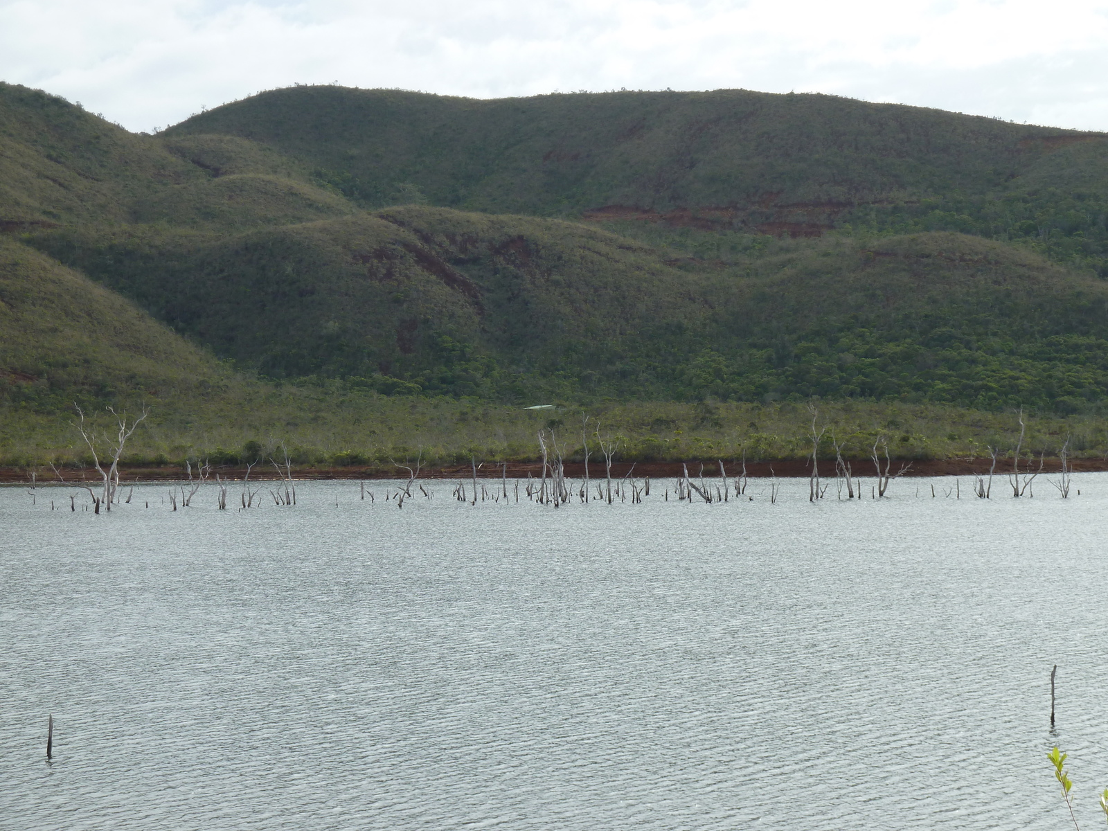 รูปถ่าย นิวแคลิโดเนีย(New Caledonia) อุทยานริเวียร์เบลอ(Parc de la Riviere Bleue) 2010-05 47