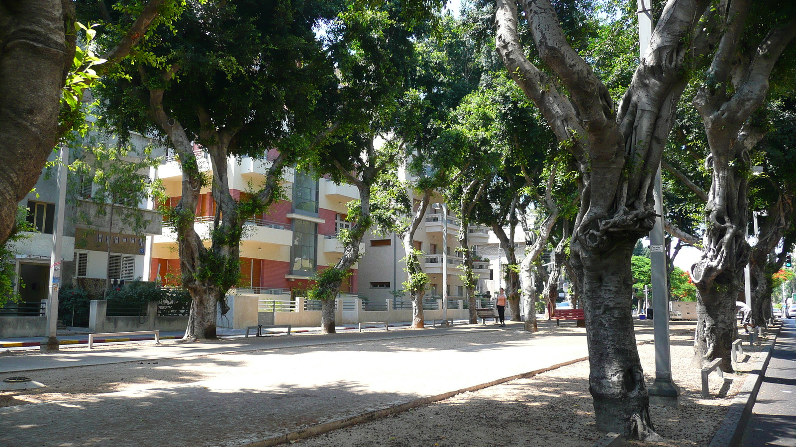 รูปถ่าย อิสราเอล(Israel) เทลอาวีฟ(Tel Aviv) ถนนรอธส์ไชลด์(Rothschild Street) 2007-06 13