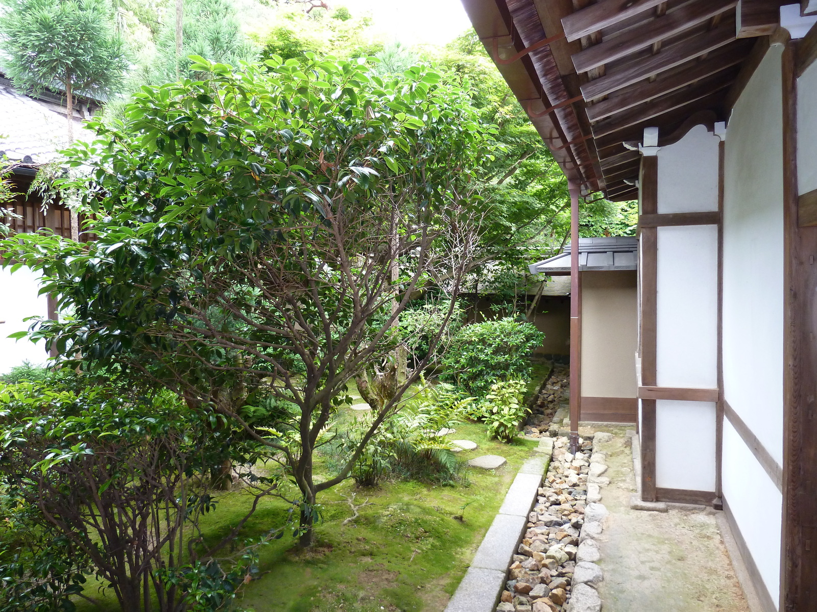 รูปถ่าย ญี่ปุ่น(Japan) เกียวโต(Kyoto) วัดเรียวอันจิ(Ryoanji Temple) 2010-06 91