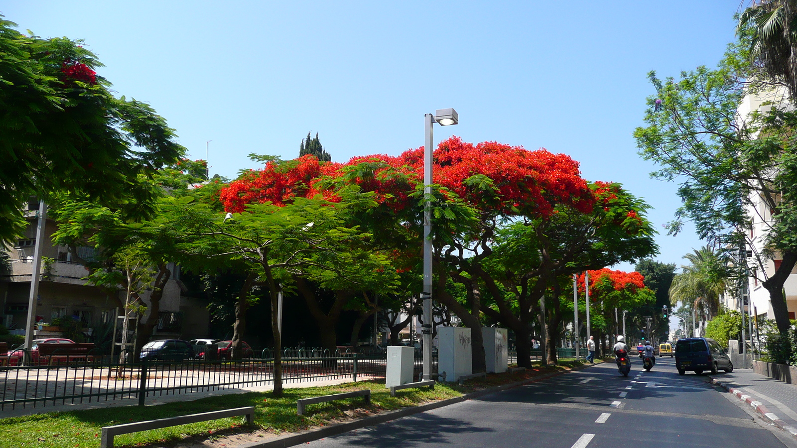รูปถ่าย อิสราเอล(Israel) เทลอาวีฟ(Tel Aviv) ถนนรอธส์ไชลด์(Rothschild Street) 2007-06 17