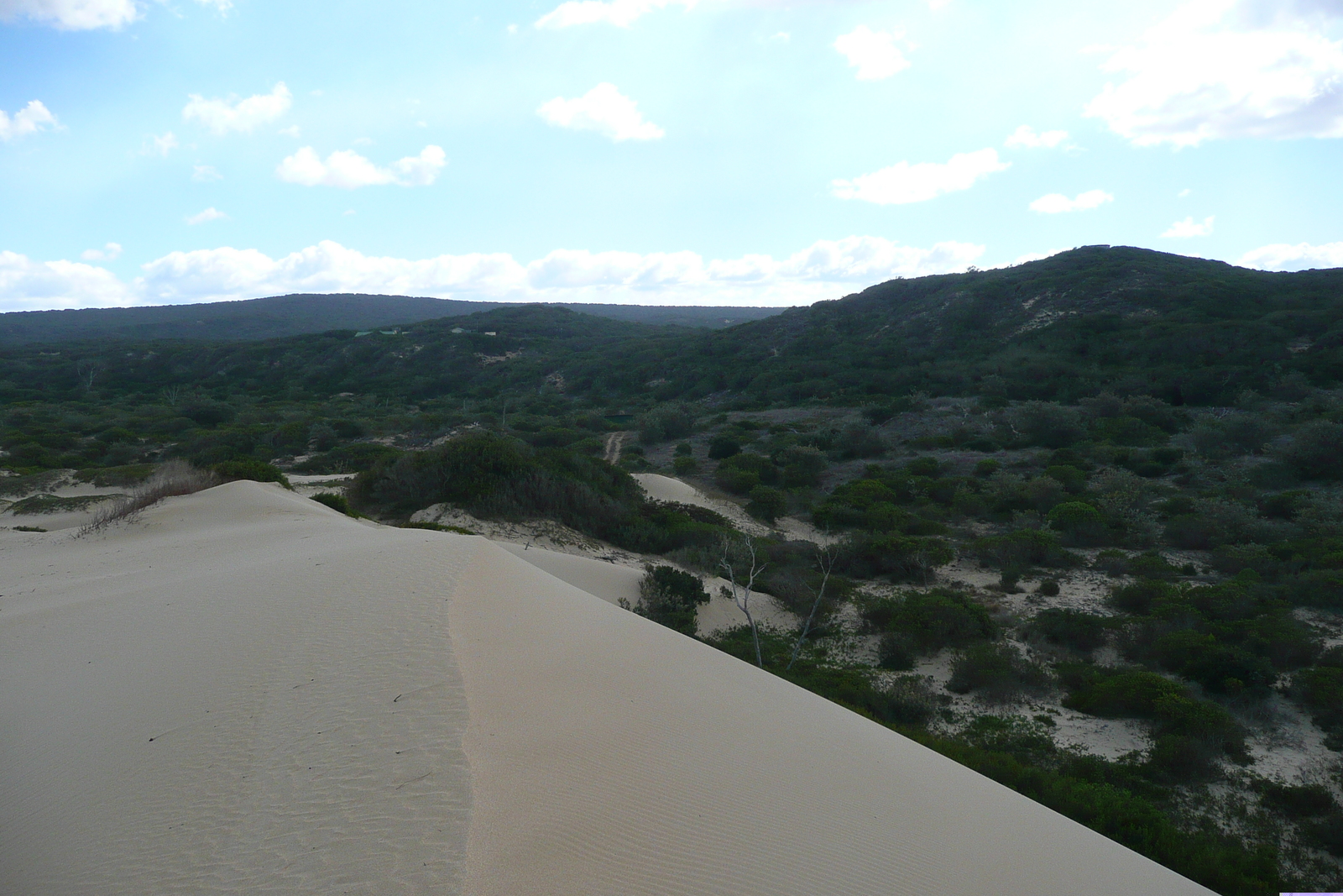รูปถ่าย แอฟริกาใต้(South Africa) แม่น้ำซันเดส์(Sundays River) 2008-09 119