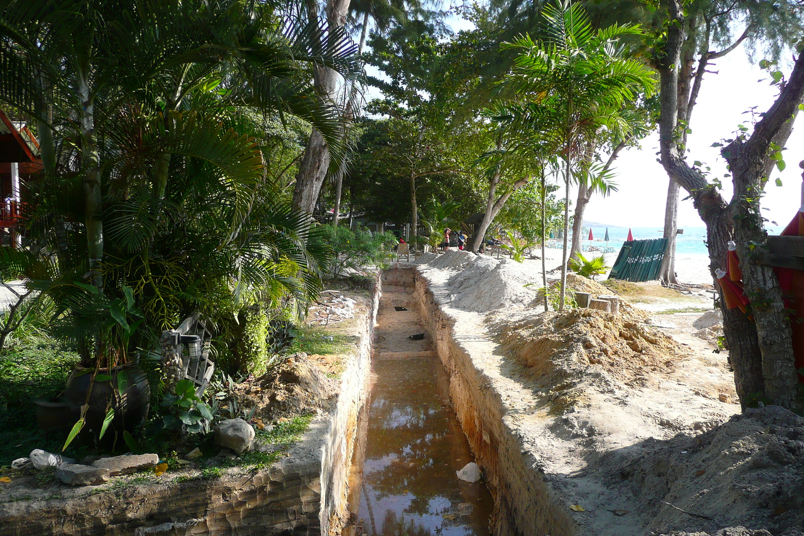 รูปถ่าย ไทย(Thailand) เกาะเสม็ด(Ko Samet) 2009-01 48