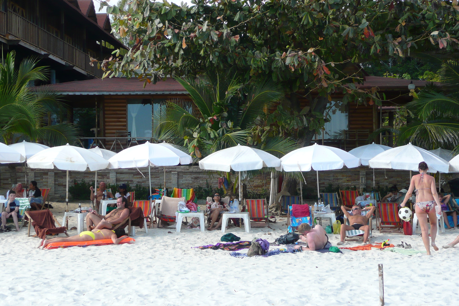 รูปถ่าย ไทย(Thailand) เกาะเสม็ด(Ko Samet) หาดทรายแก้ว(Had Sai Kaew) 2008-12 26