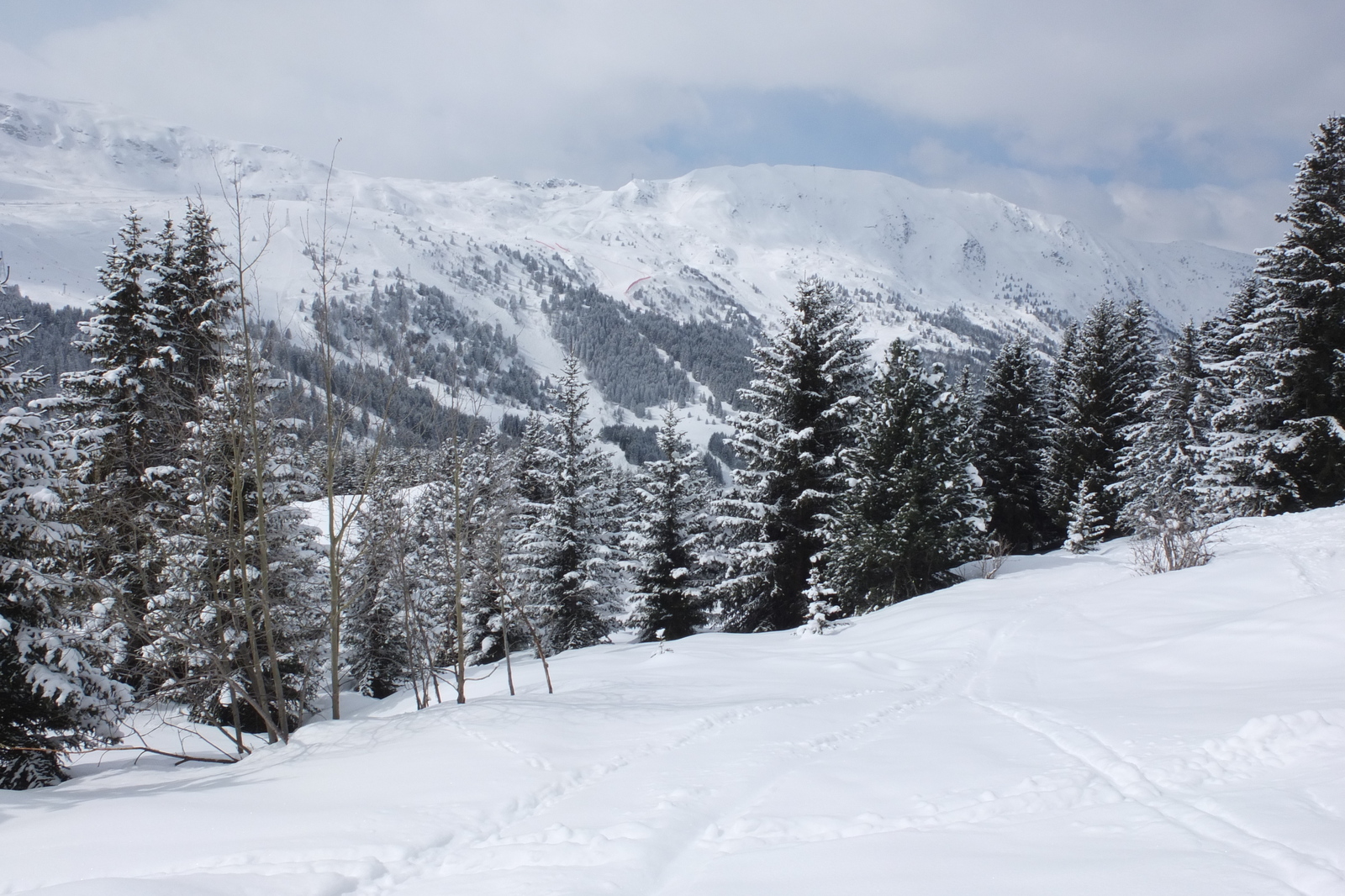 รูปถ่าย ฝรั่งเศส(France) เลทรัววาเล(Les 3 Vallees) 2013-03 282